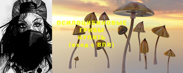 амфетамин Алексин