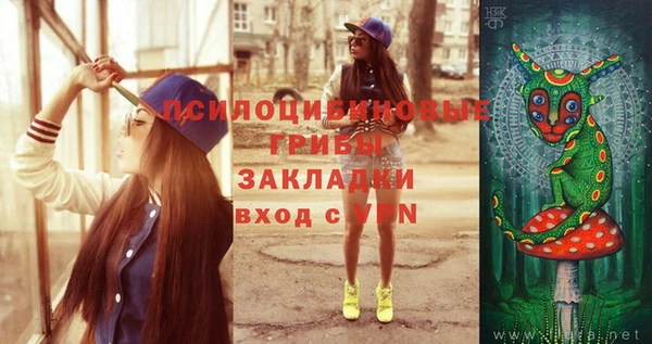 герыч Алзамай