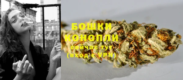 дмт Пестово