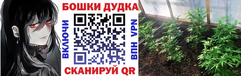 наркошоп  Алзамай  Марихуана THC 21% 